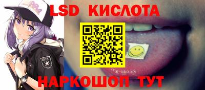 прущие грибы Севастополь