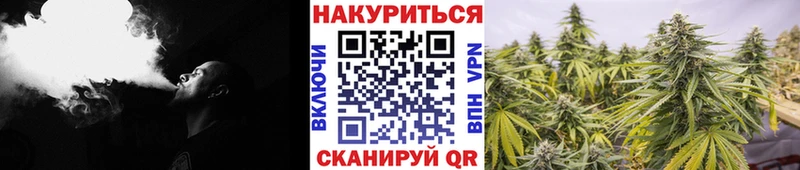 МАРИХУАНА план  закладка  Пенза 