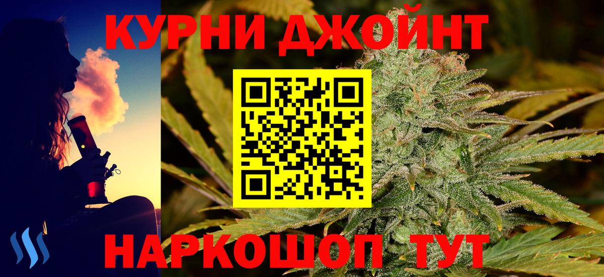 Канабис план Пенза